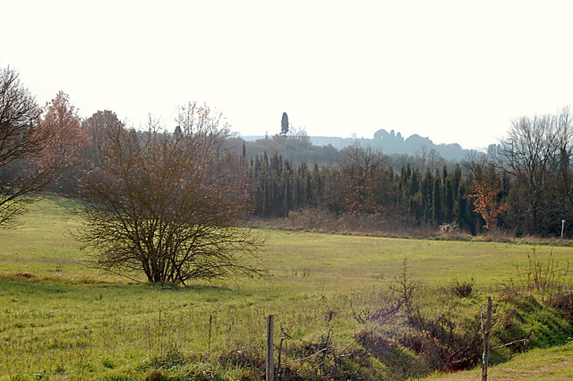 Escursione in cipresseta